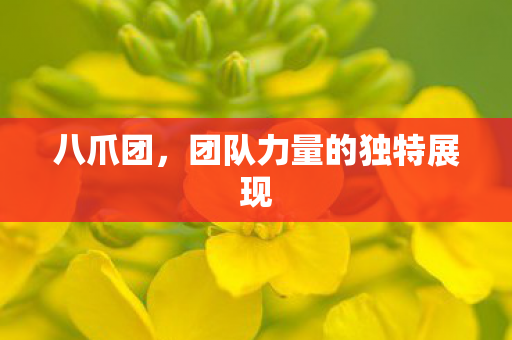 八爪团,团队力量的独特展现 八爪团,团队力量的独特展现