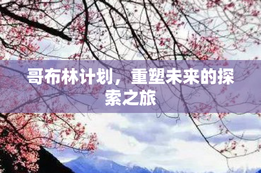 哥布林计划，重塑未来的探索之旅