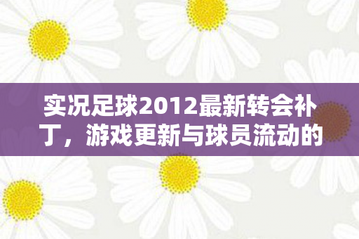 实况足球2012最新转会补丁,游戏更新与球员流动的新动态 实况足球2012最新转会补丁,游戏更新与球员流动的新动态