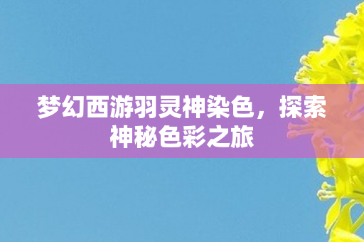 梦幻西游羽灵神染色,探索神秘色彩之旅 梦幻西游羽灵神染色,探索神秘色彩之旅