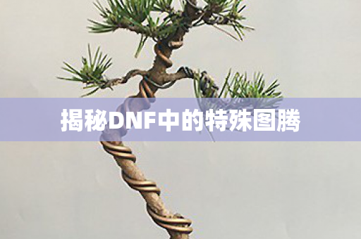 揭秘DNF中的特殊图腾 揭秘DNF中的特殊图腾