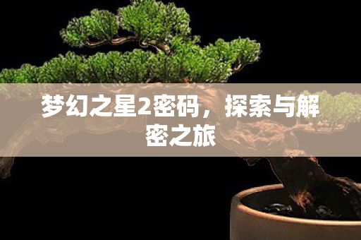 梦幻之星2密码,探索与解密之旅 梦幻之星2密码,探索与解密之旅