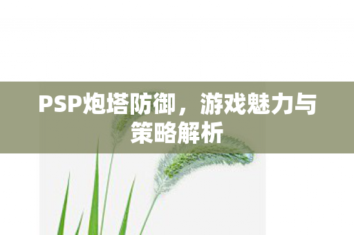 PSP炮塔防御,游戏魅力与策略解析 PSP炮塔防御,游戏魅力与策略解析