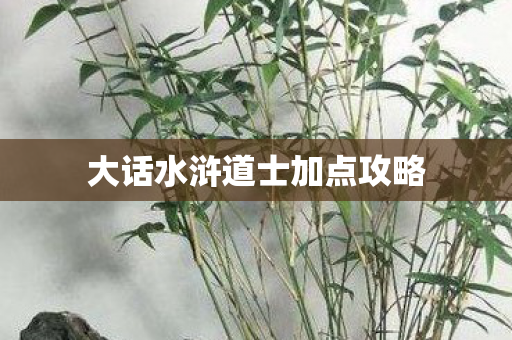 大话水浒道士加点攻略