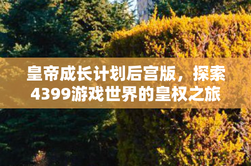 皇帝成长计划后宫版,探索4399游戏世界的皇权之旅 皇帝成长计划后宫版,探索4399游戏世界的皇权之旅