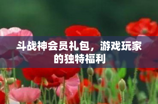 斗战神会员礼包,游戏玩家的独特福利 斗战神会员礼包,游戏玩家的独特福利