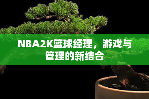 NBA2K篮球经理,游戏与管理的新结合 NBA2K篮球经理,游戏与管理的新结合