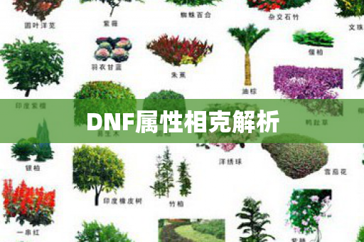 DNF属性相克解析 DNF属性相克解析