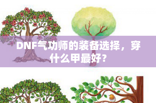 DNF气功师的装备选择,穿什么甲最好? DNF气功师的装备选择,穿什么甲最好?
