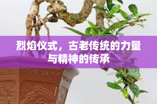 烈焰仪式,古老传统的力量与精神的传承 烈焰仪式,古老传统的力量与精神的传承