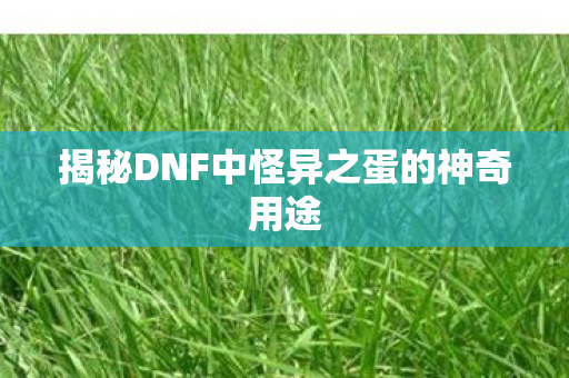 揭秘DNF中怪异之蛋的神奇用途 揭秘DNF中怪异之蛋的神奇用途