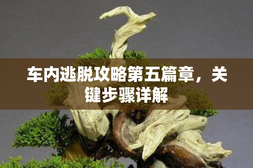 车内逃脱攻略第五篇章,关键步骤详解 车内逃脱攻略第五篇章,关键步骤详解