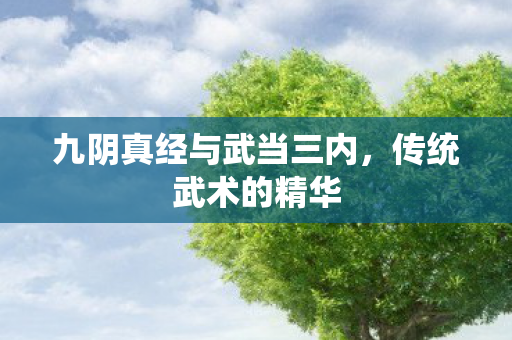 九阴真经与武当三内,传统武术的精华 九阴真经与武当三内,传统武术的精华