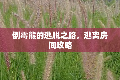 倒霉熊的逃脱之路，逃离房间攻略