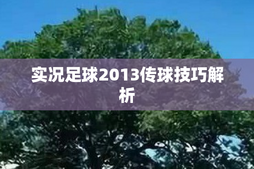 实况足球2013传球技巧解析
