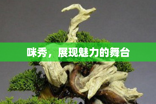 咪秀,展现魅力的舞台 咪秀,展现魅力的舞台