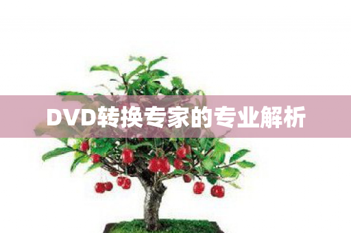 DVD转换专家的专业解析 DVD转换专家的专业解析