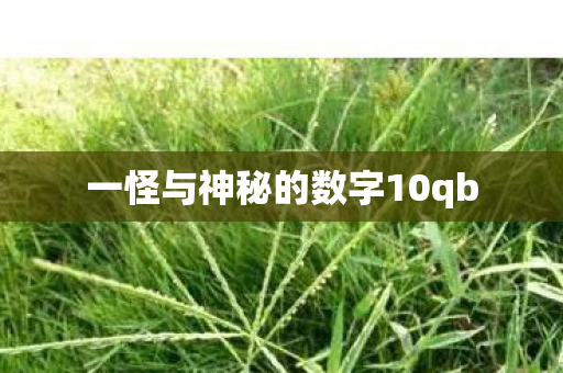 一怪与神秘的数字10qb