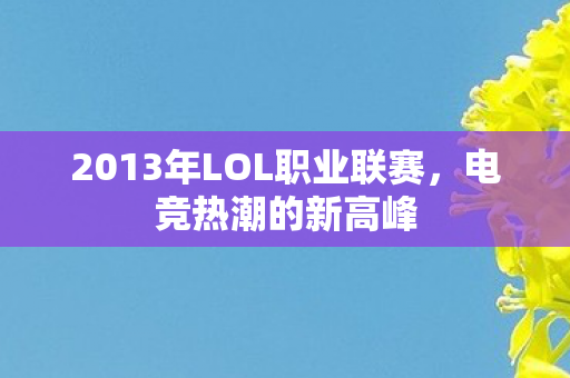 2013年LOL职业联赛,电竞热潮的新高峰 2013年LOL职业联赛,电竞热潮的新高峰