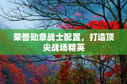 荣誉勋章战士配置,打造顶尖战场精英 荣誉勋章战士配置,打造顶尖战场精英