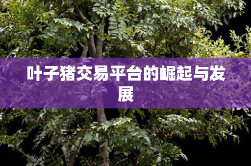 叶子猪交易平台的崛起与发展 叶子猪交易平台的崛起与发展