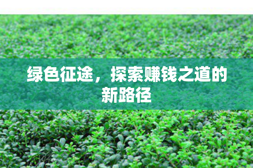 绿色征途,探索赚钱之道的新路径 绿色征途,探索赚钱之道的新路径