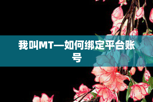 我叫MT—如何绑定平台账号 我叫MT—如何绑定平台账号
