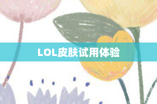 LOL皮肤试用体验