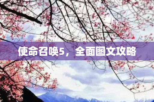 使命召唤5,全面图文攻略 使命召唤5,全面图文攻略
