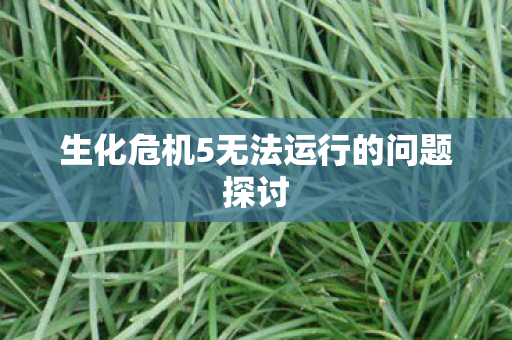 生化危机5无法运行的问题探讨 生化危机5无法运行的问题探讨