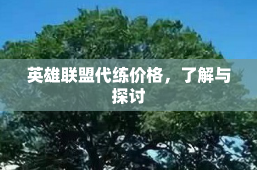 英雄联盟代练价格,了解与探讨 英雄联盟代练价格,了解与探讨