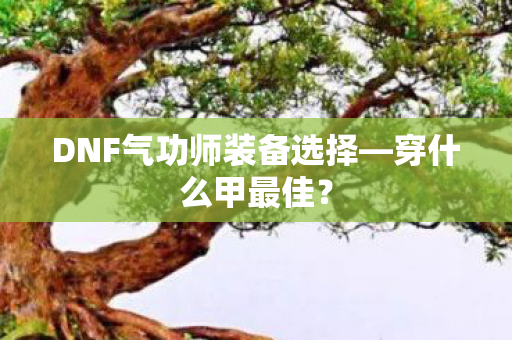 DNF气功师装备选择—穿什么甲最佳? DNF气功师装备选择—穿什么甲最佳?