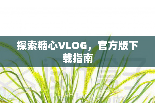 探索糖心VLOG,官方版下载指南 探索糖心VLOG,官方版下载指南
