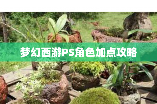 梦幻西游PS角色加点攻略 梦幻西游PS角色加点攻略