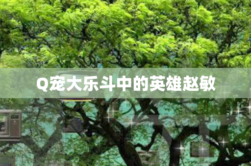 Q宠大乐斗中的英雄赵敏