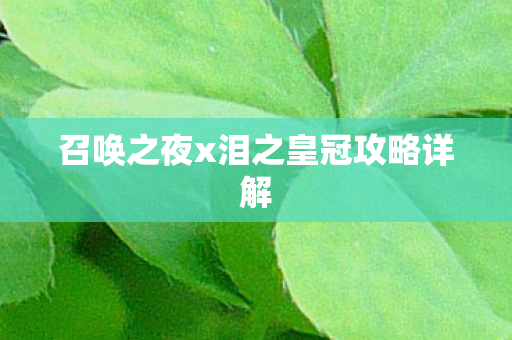 召唤之夜x泪之皇冠攻略详解 召唤之夜x泪之皇冠攻略详解