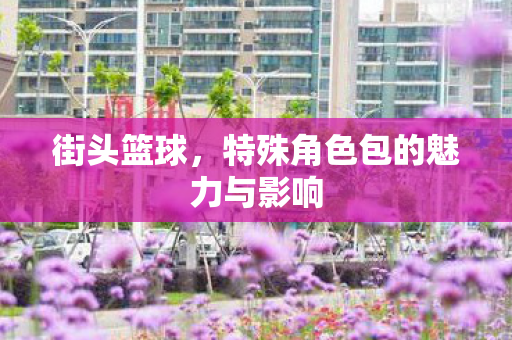 街头篮球,特殊角色包的魅力与影响 街头篮球,特殊角色包的魅力与影响