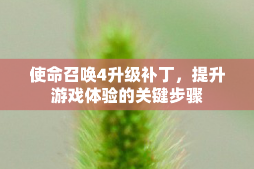 使命召唤4升级补丁,提升游戏体验的关键步骤 使命召唤4升级补丁,提升游戏体验的关键步骤