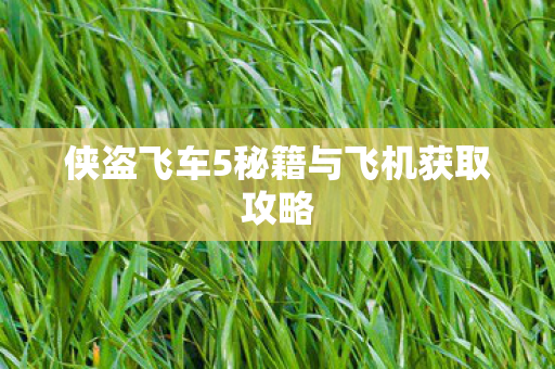侠盗飞车5秘籍与飞机获取攻略 侠盗飞车5秘籍与飞机获取攻略