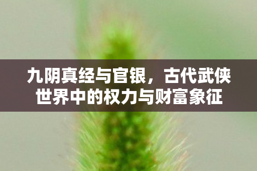 九阴真经与官银，古代武侠世界中的权力与财富象征
