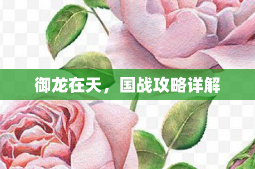 御龙在天,国战攻略详解 御龙在天,国战攻略详解