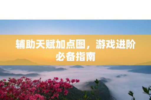 辅助天赋加点图，游戏进阶必备指南