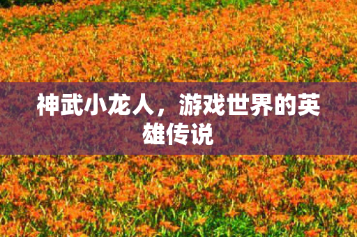 神武小龙人，游戏世界的英雄传说