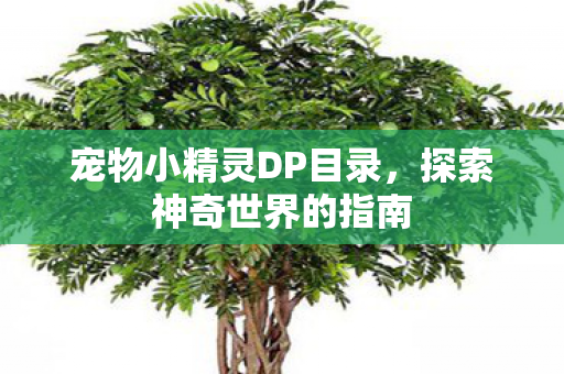 宠物小精灵DP目录,探索神奇世界的指南 宠物小精灵DP目录,探索神奇世界的指南