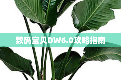 数码宝贝DW6.0攻略指南