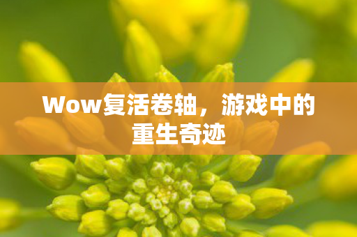 Wow复活卷轴,游戏中的重生奇迹 Wow复活卷轴,游戏中的重生奇迹