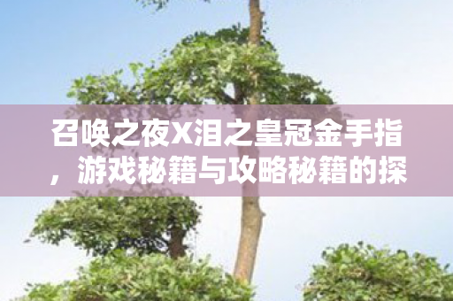 召唤之夜X泪之皇冠金手指,游戏秘籍与攻略秘籍的探寻 召唤之夜X泪之皇冠金手指,游戏秘籍与攻略秘籍的探寻