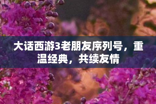 大话西游3老朋友序列号,重温经典,共续友情 大话西游3老朋友序列号,重温经典,共续友情