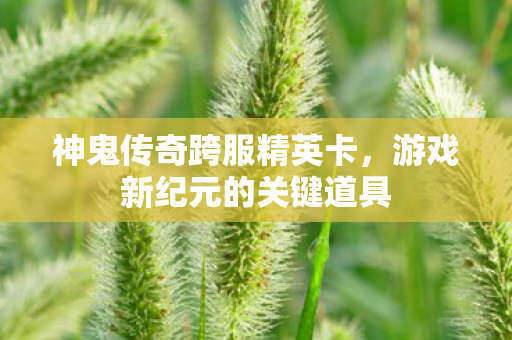 神鬼传奇跨服精英卡,游戏新纪元的关键道具 神鬼传奇跨服精英卡,游戏新纪元的关键道具