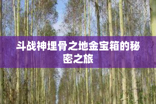 斗战神埋骨之地金宝箱的秘密之旅